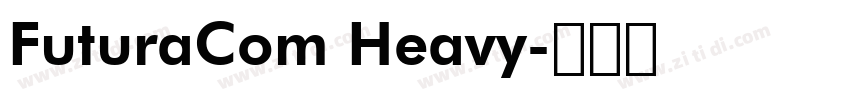 FuturaCom Heavy字体转换